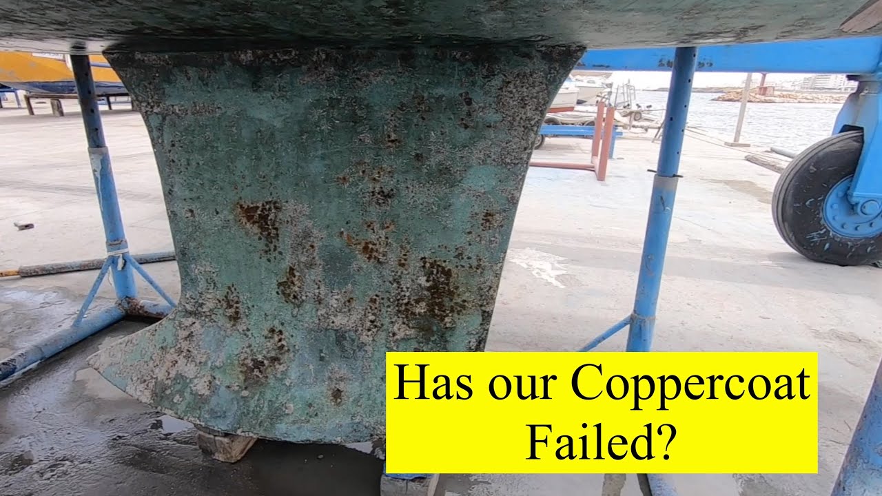 Has our Coppercoat failed?