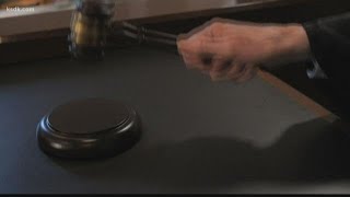 Red Flag Laws What Are They? Do They Work?