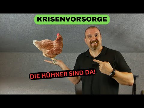 Видео: Krisenvorsorge - Jetzt kommt Leben in die Sache - Die Hühner sind da! 