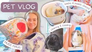 HUGE PET VLOG // guinea pig health checks, bath time, new hides, cleaning & more!