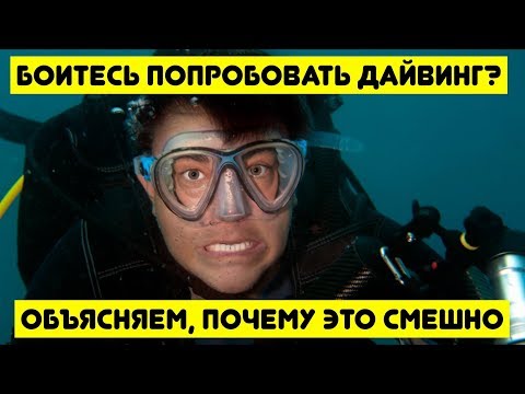 Боитесь попробовать дайвинг? Объясняем, почему это смешно