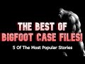 THE BEST OF BIGFOOT CASE FILES! 5 Of The Most Popular Stories