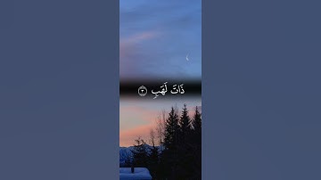سورة المسد | محمد اللحيدان #القرآن_الكريم #اكسبلور #المصحف #quran #لايك#راحة_نفسية #حالات_واتس#ترند