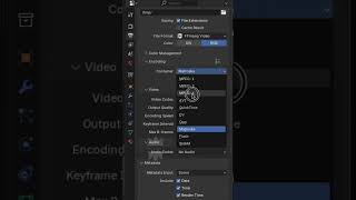 Export Blender video with small file size, Video mit geringer Datei größe