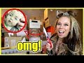 Swamp Family MAIL! - OMG EDITION!!