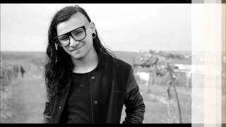 Download Lagu SKRILLEX - MONSTER HOLDING ON (REMIX) MP3