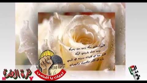046   Al Ahqaf  The Curved Sand hills  سورة الأحقاف