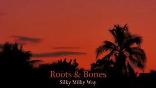 Roots & Bones - Silky Milky Way