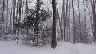 Blizzard 2010.AVI