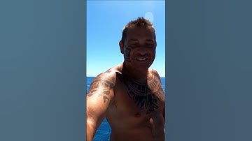 Metaverse Crypto Revolution How Blockchain Is Shaping Virtual Worlds