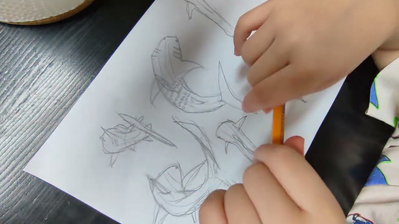 A boy drawing whale shark 