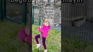Ğasever Şfetbeniöneçıkar Ğlence