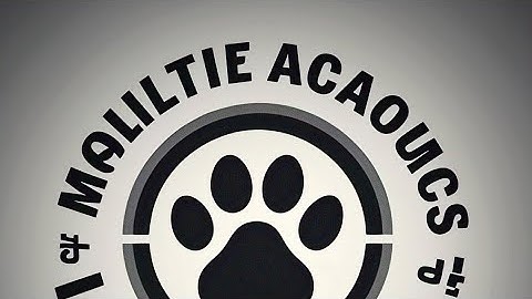 Paws multiple accounts best solution/paws multiple accounts full guide