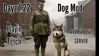 Dayz 1 22 Dog Mod Playing Fetch