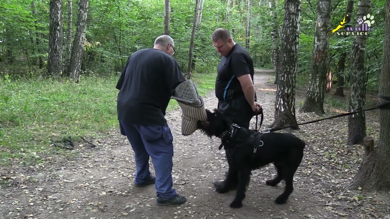 Клиент фигурант пэ