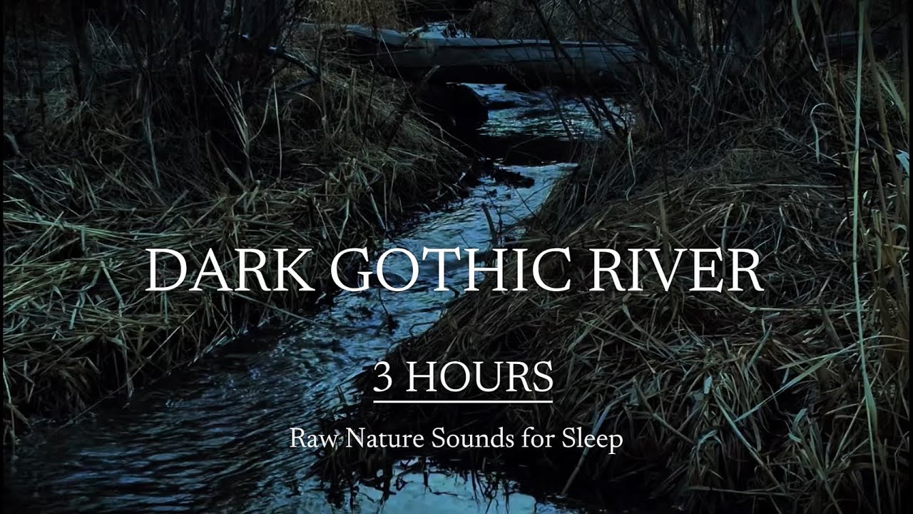 3 HOURS Dark Gothic River at Dusk 🌑 Shadowed Twilight River Whisper | Raw Nature Ambient Stream