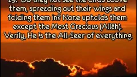 EXCLUSIF Abdulwali Al-Arkani  Surah Al-Mulk سورة الملك.flv