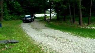 DSCF7219.AVI