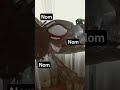 ASMR