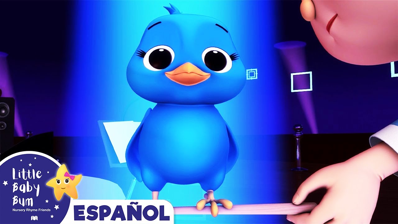 Sonidos de Animal - Pajaritos | Canciones Infantiles | Dibujos Animados |  Little Baby Bum Latino - thptnganamst.edu.vn