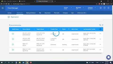 ONTAP 9.9.1 Volume Replication Demo