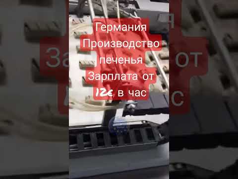 #Германия #Производство #печенья