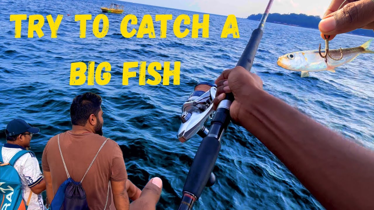 Giant Fish vs. Tiny Bait! Who wins? 🌊🔥