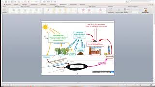 Explication Schéma Ps Et Activités Humaines