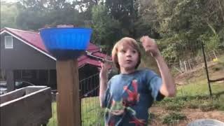 Will my goats eat Apples?