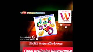 Radiola Mega Estilo Do Som