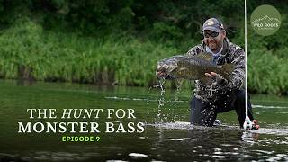 PRO TEAM COMPETITION: High Bass Energy | Wild Roots