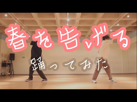 春を告げる 踊ってみた/しょまとがんそ