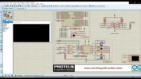 DIY Assignment No. 4 | 20MT10057 | By Suraj Gupta | IIT KGP