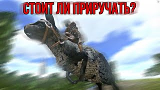 Прокоптодон ARK MOBILE | стоит ли приручать? | Прокоптодон Арк Мобайл | Арк Мобайл