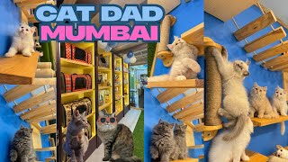 Mumbais Cutest Cats Live Here Visit Cat Dad House Today