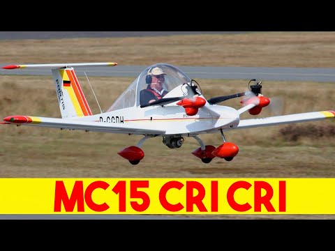 ¿Cuanto dinero cuesta el Avión MÁS PEQUEÑO del Mundo? | Bimotor MC15 "Cri Cri"