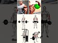 Biceps Workout with equipment🔥💪|#shorts #gym #shortsfeed #shortsviral #viral #trending #viralshorts