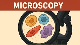 🧫 You’ve NEVER Seen Cells Like This Before! | Hidden World Under the Microscope 🔍