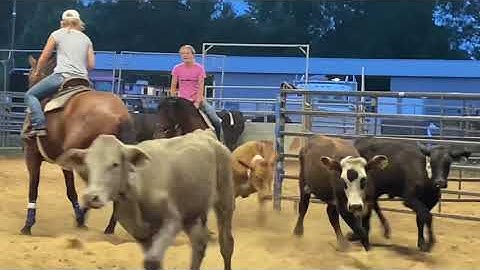 Kylie & Tex...1st time Team Sorting...