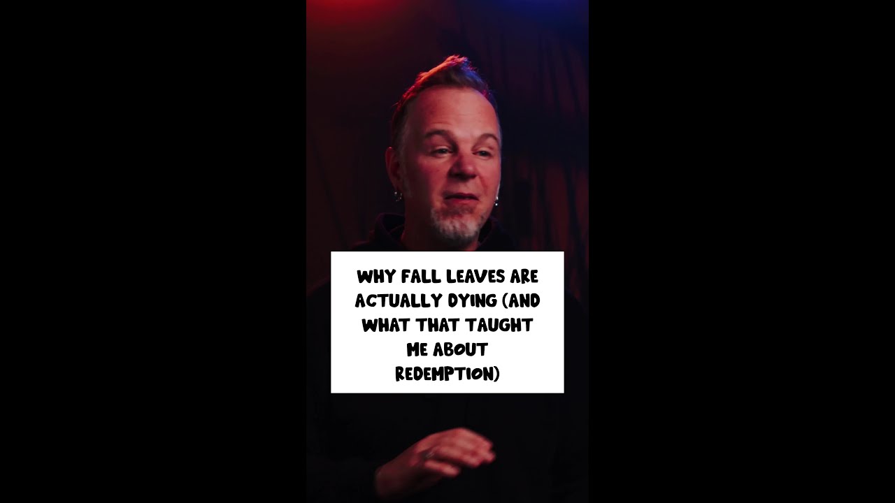 Why Fall Leaves Are Actually Dying (And What That Taught Me About Redemption)