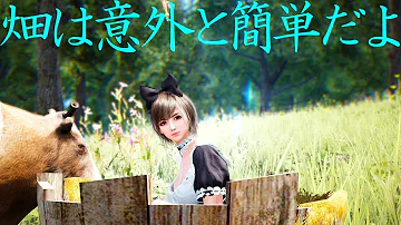 黒い砂漠 ですよろ 黒い砂漠 ですよろ