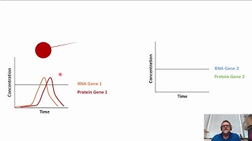 Network Biology: Nodes and Edges