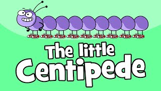 ♪♪ Centipede Children's Song | Funny Animal Songs | Hooray Kids Songs \& Nursery Rhymes | Animals