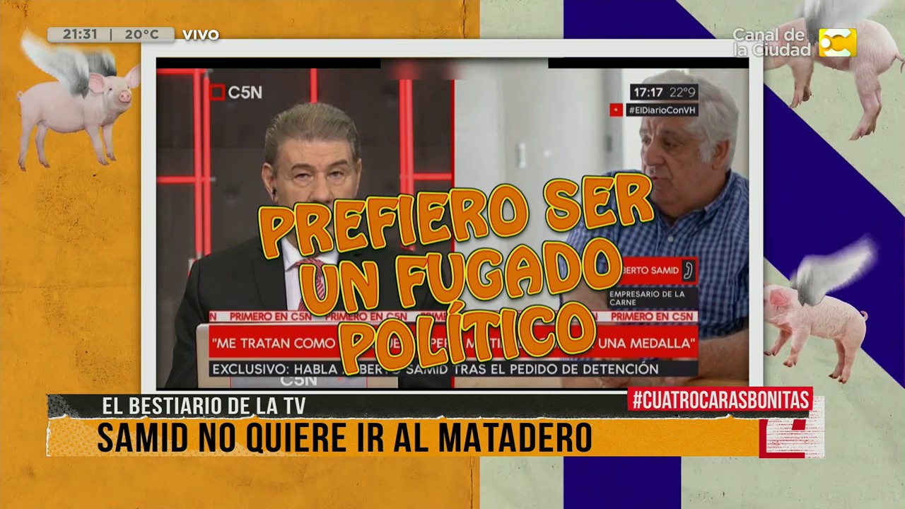 Bestiario de la TV de 4 Caras Bonitas 3/4 television reddit