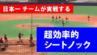 【超効率的 シートノック】 日本一チームが実践するシートノックとは！？しっかりと鍛えられたチーム、選手たちだからこそ出来るシートノックですね。ノッカー：関口勝己