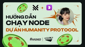 Hướng Dẫn Chạy Node Dự Án Humanity Protocol Với Công Cụ Dolphin {anty}