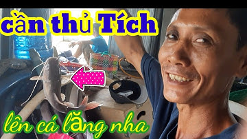 CÂU CÁ LĂNG NHA,CÁ CÓC TRÊN LÀNG BÈ NHA MÂN  | CƠM TRƯA CÙNG ANH,EM CẦN THỦ  | NGUYỄN ĐỢI