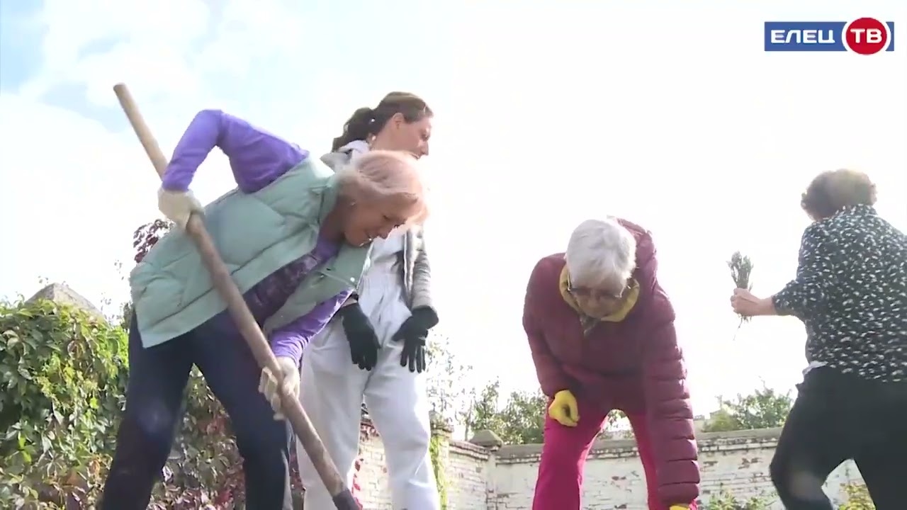 «Кедры России»: первые саженцы приехали из Калининграда в Елец