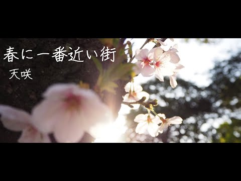 春に一番近い街 covered by 天咲
