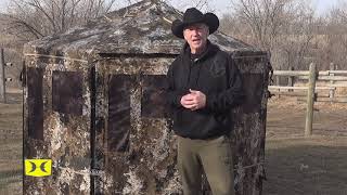 Hawk Down And Out Blinds